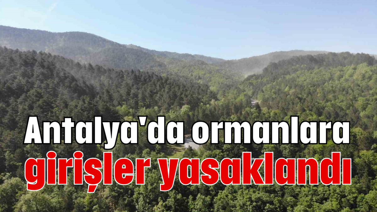 Antalya'da ormanlara girişler yasaklandı 