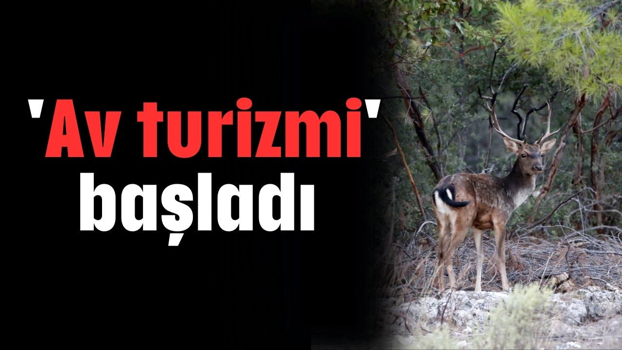  'Av turizmi' başladı