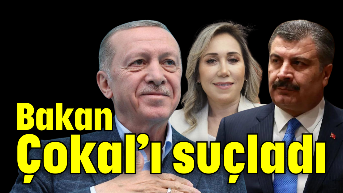 Bakan Çokal’ı suçladı    