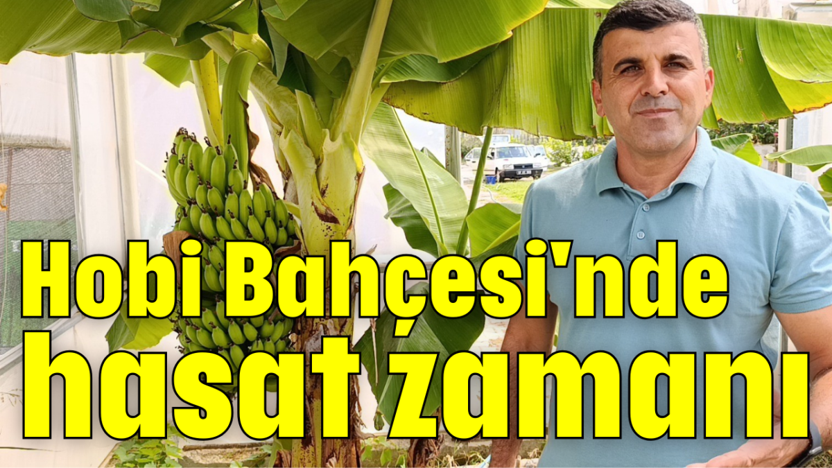 Hobi Bahçesi'nde hasat zamanı        