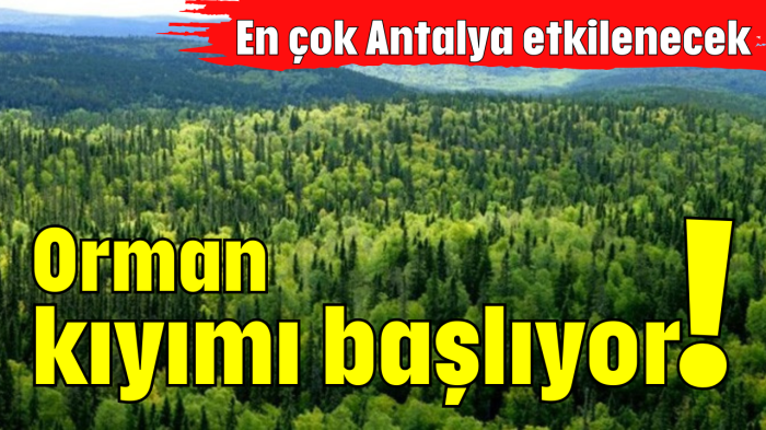 Orman kıyımı başlıyor!        